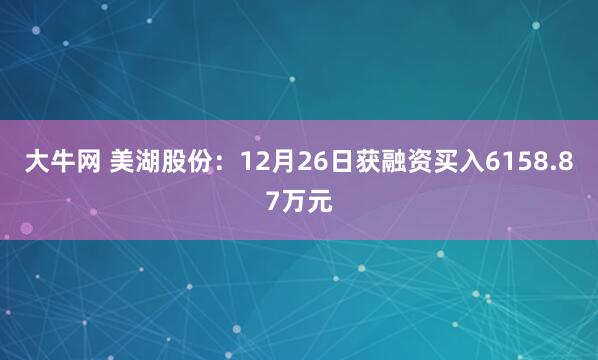 大牛网 美湖股份：12月26日获融资买入6158.87万元