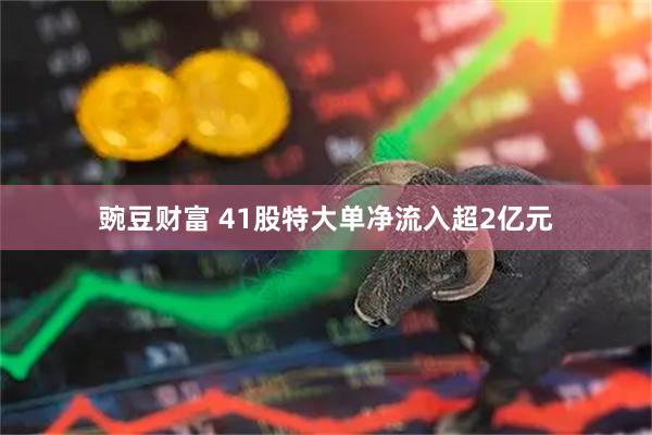 豌豆财富 41股特大单净流入超2亿元