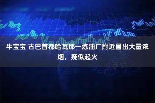 牛宝宝 古巴首都哈瓦那一炼油厂附近冒出大量浓烟，疑似起火